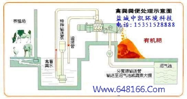 猪粪蜜桃视频APP下载处理示意图